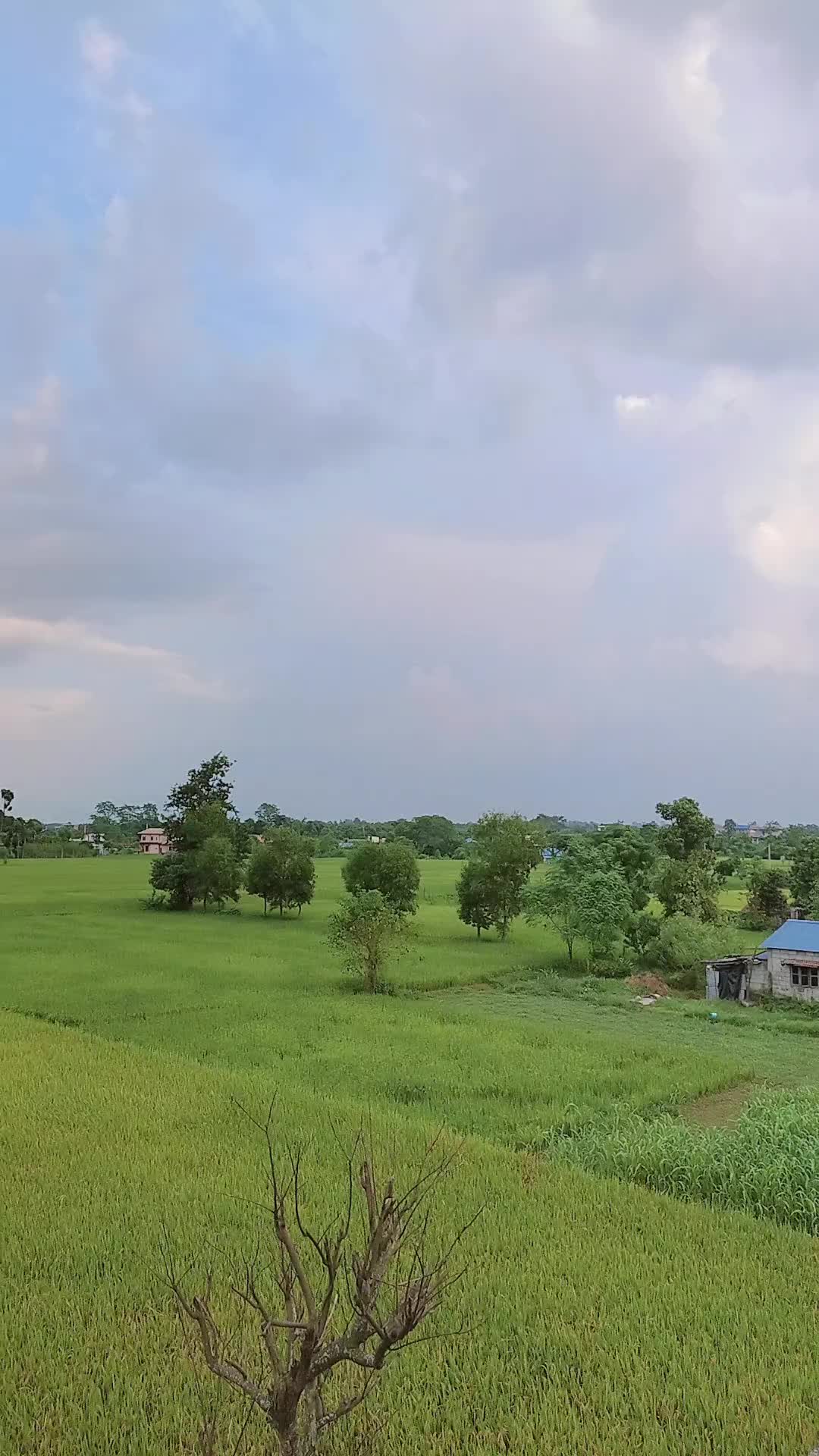 @🦋dhanu🦋