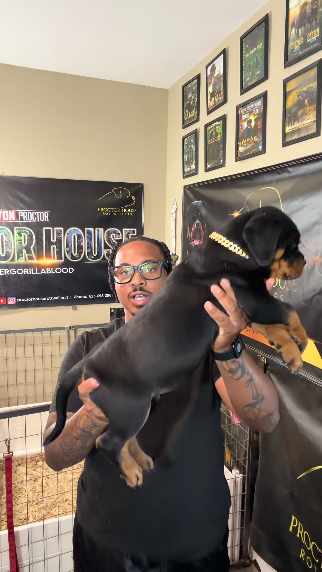 @Proctor House Rottweilers