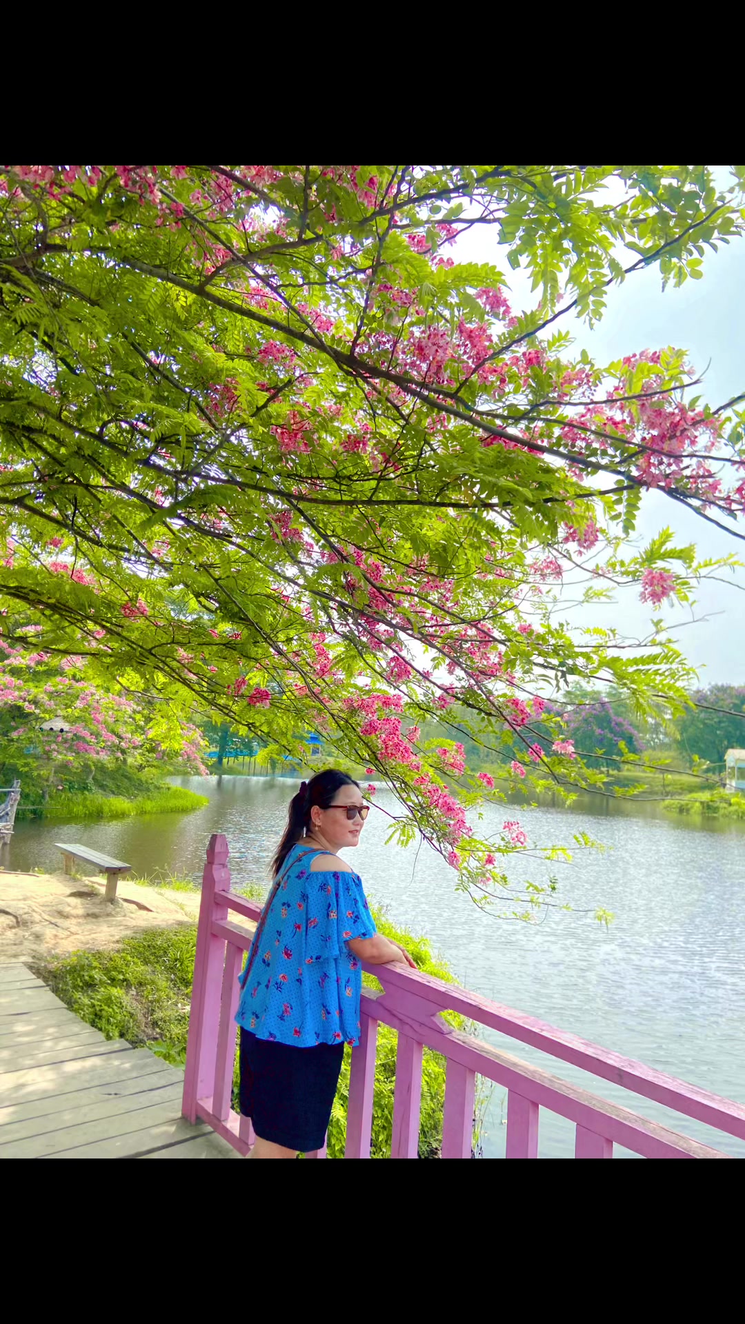@mira pradhan🌼