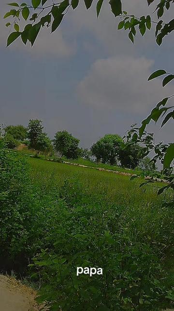 @@Raja 804