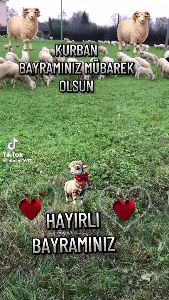 @Hffg Hvfgh