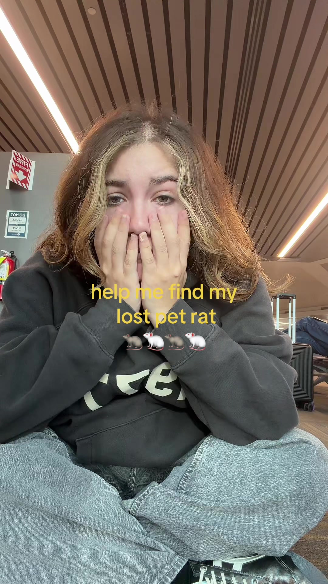 @PresleighRuiz