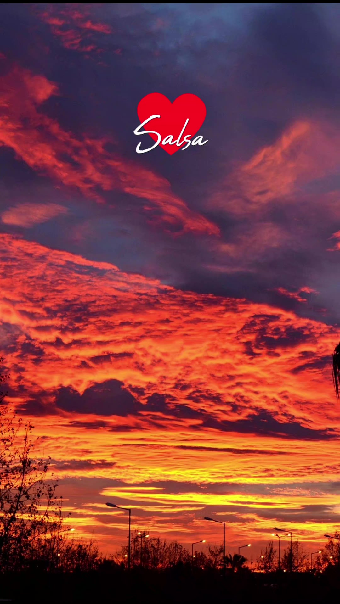 @dimelosalsa