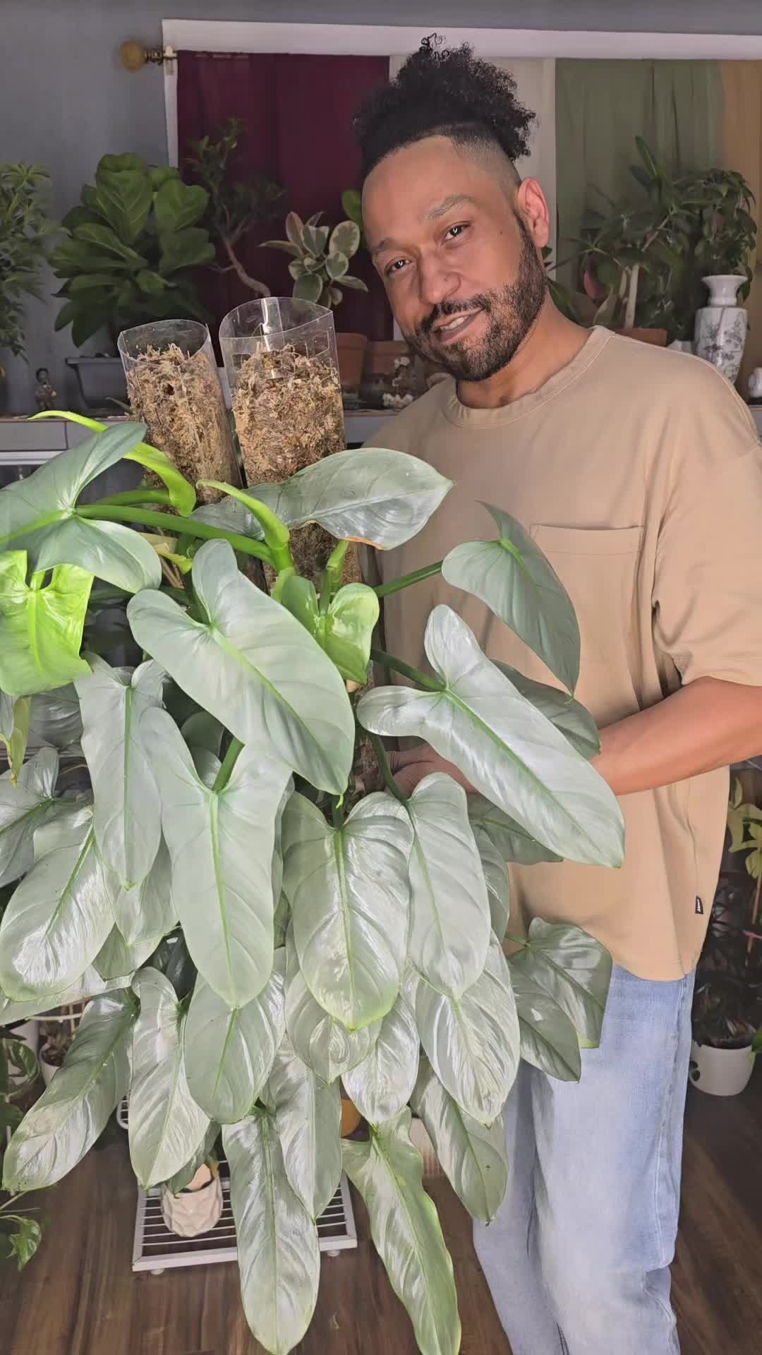 @JT - BigEGOPlants