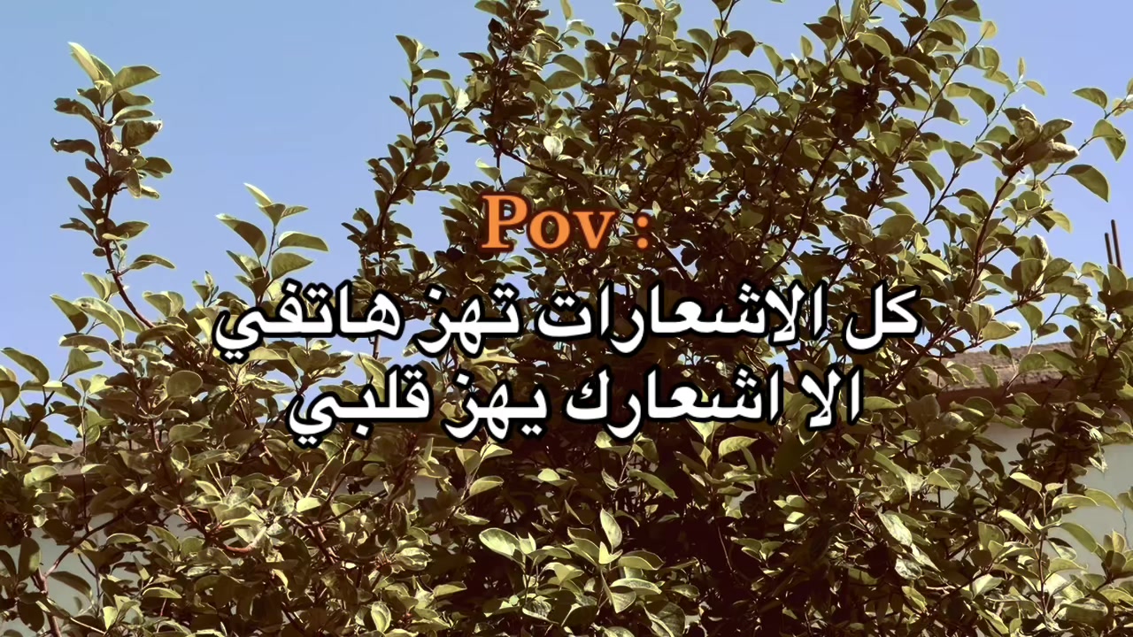 @سيف دحام | 𝐒𝐀𝐈𝐅 𝐃𝐀𝐇𝐀𝐌