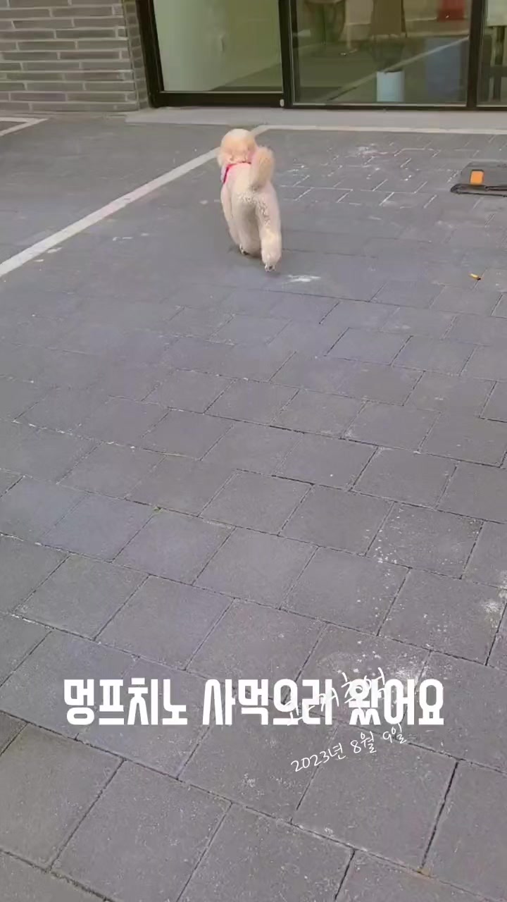@예쁜라떼