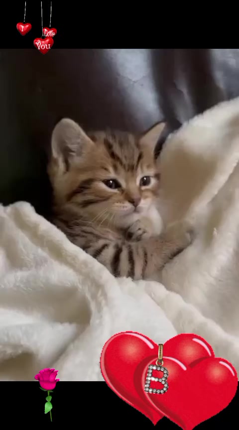 @любима мужем ❤️