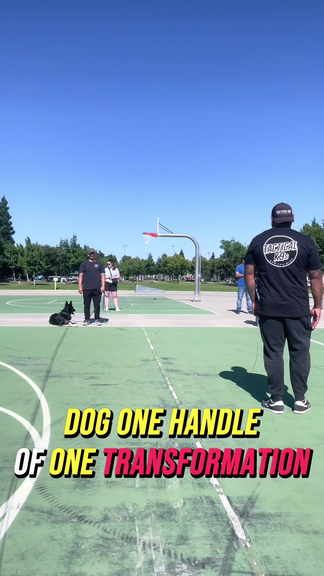 @Tactical K9s Dog Training