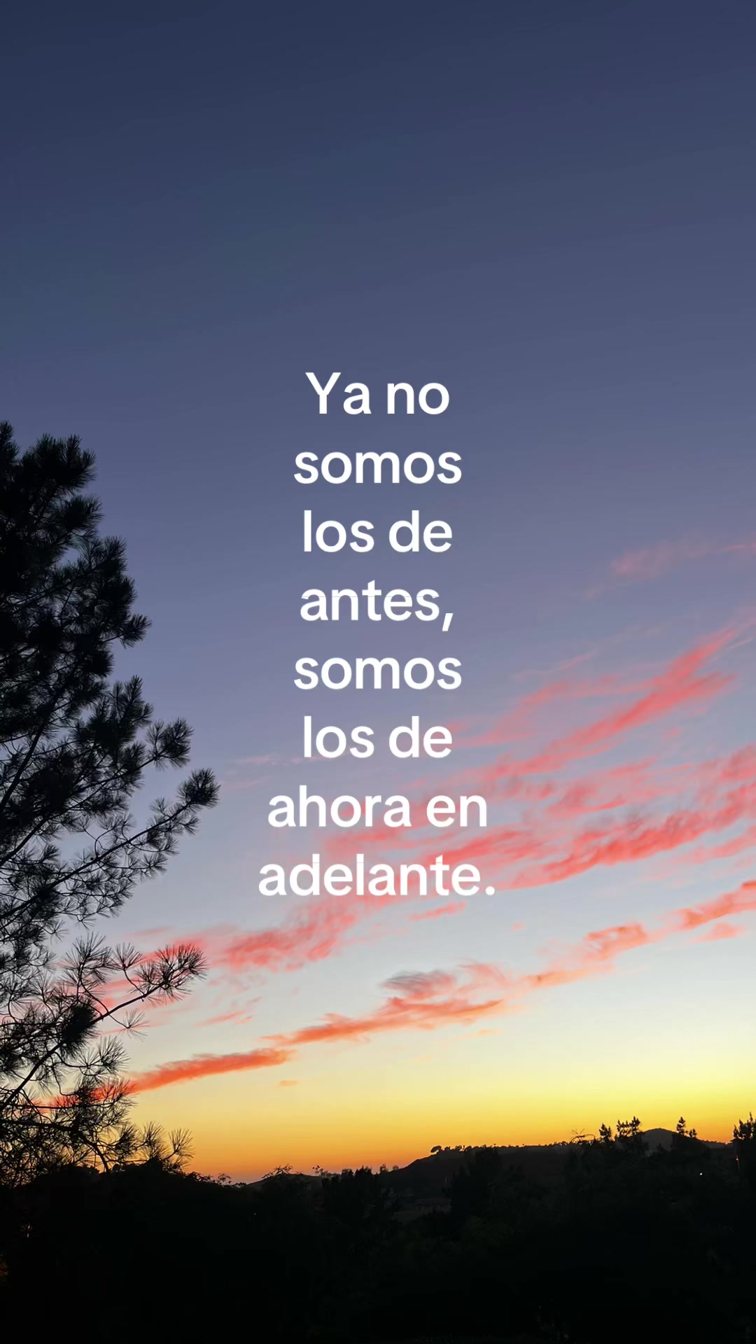 @odalischavezzz