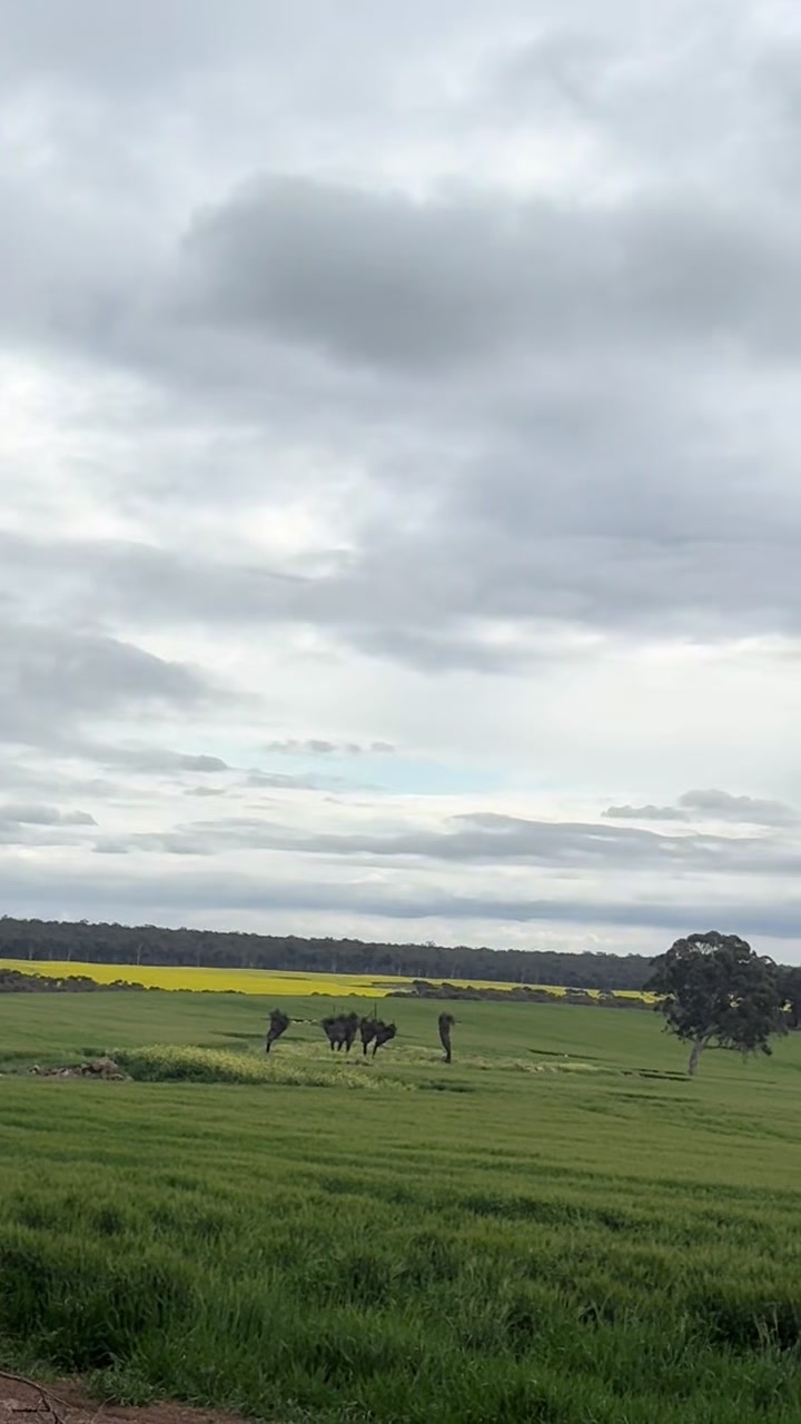 @🇦🇫30MǍ🇦🇺