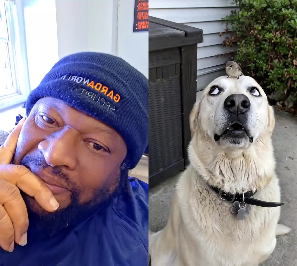 @Awaab