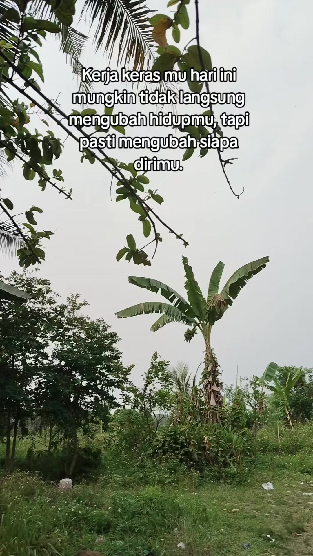 @@BANGKIT_MANDIRI01