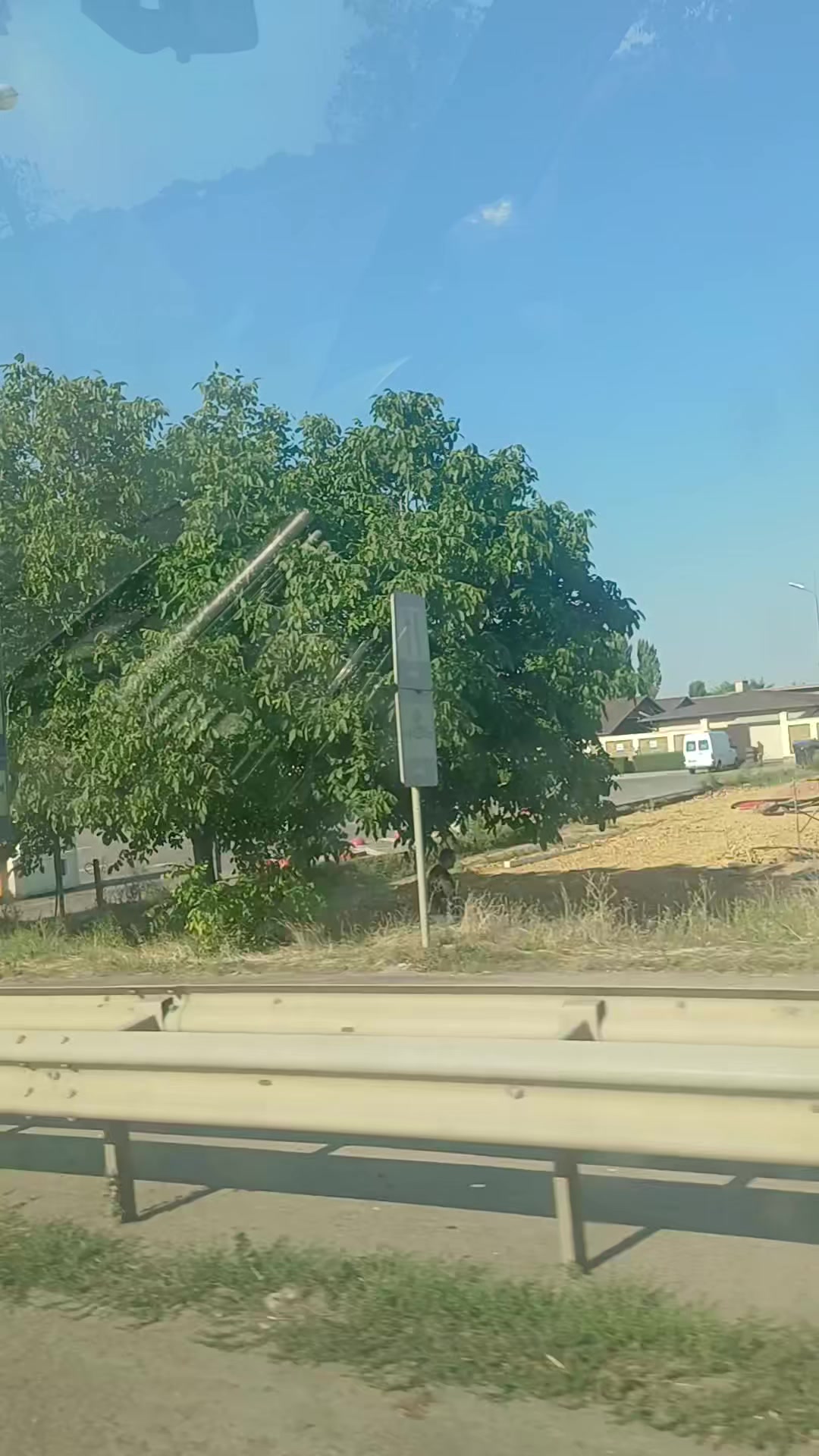 @Саша ( Метр )