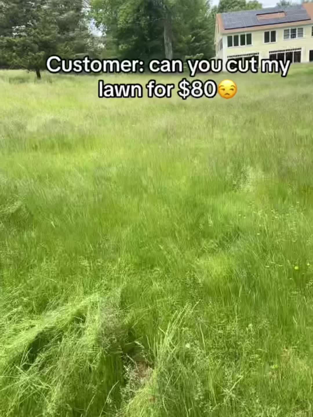 @Prestige landscaping ☘️🍃