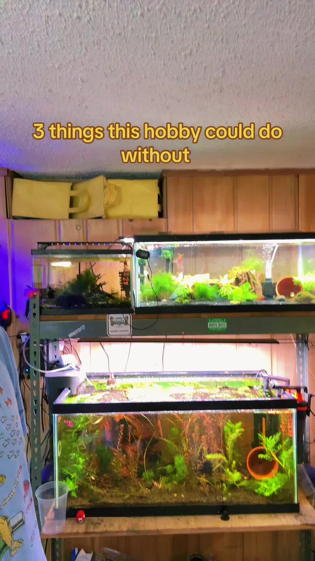 @Dads Fishroom