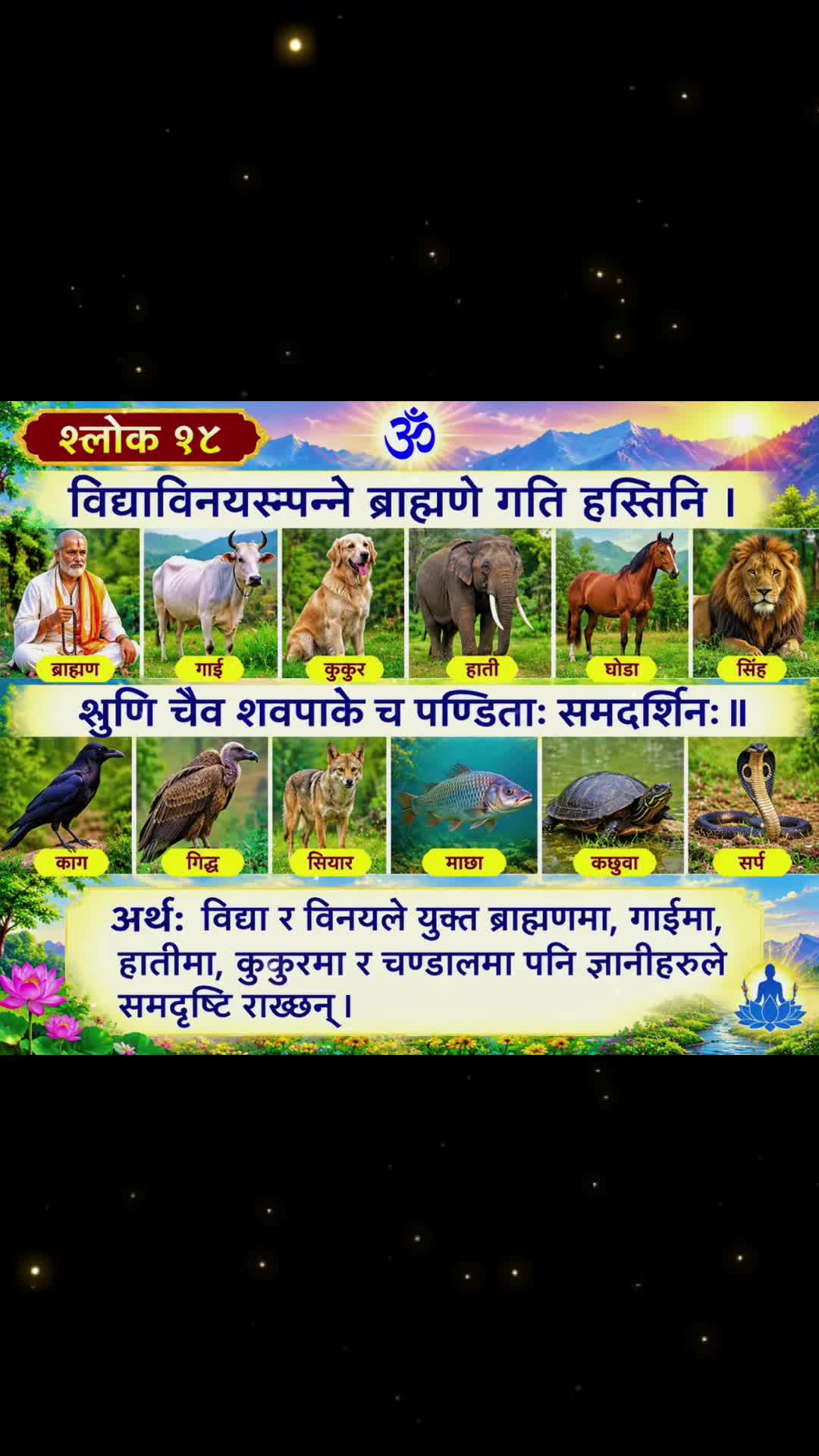 @Yogi bhanuananda (निजाती)