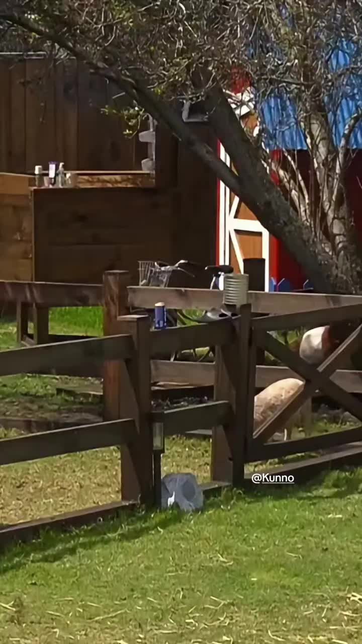 @Gustavo900⭐️👀