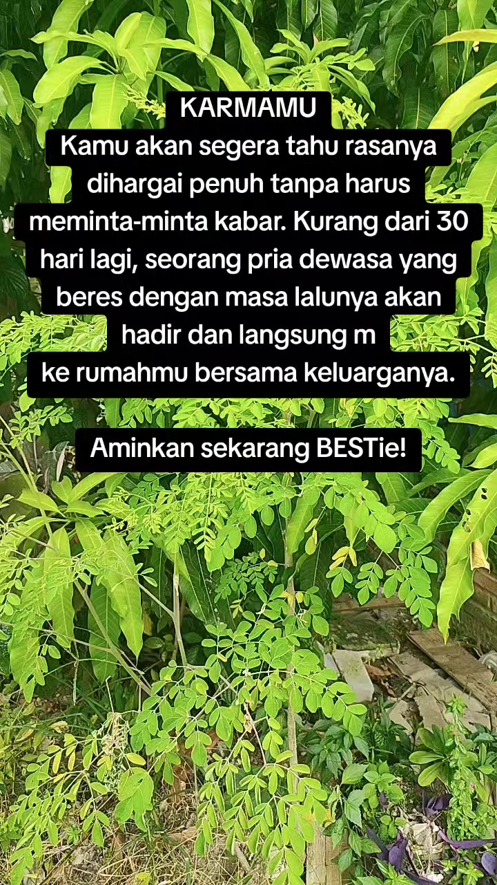 @Mega Widya
