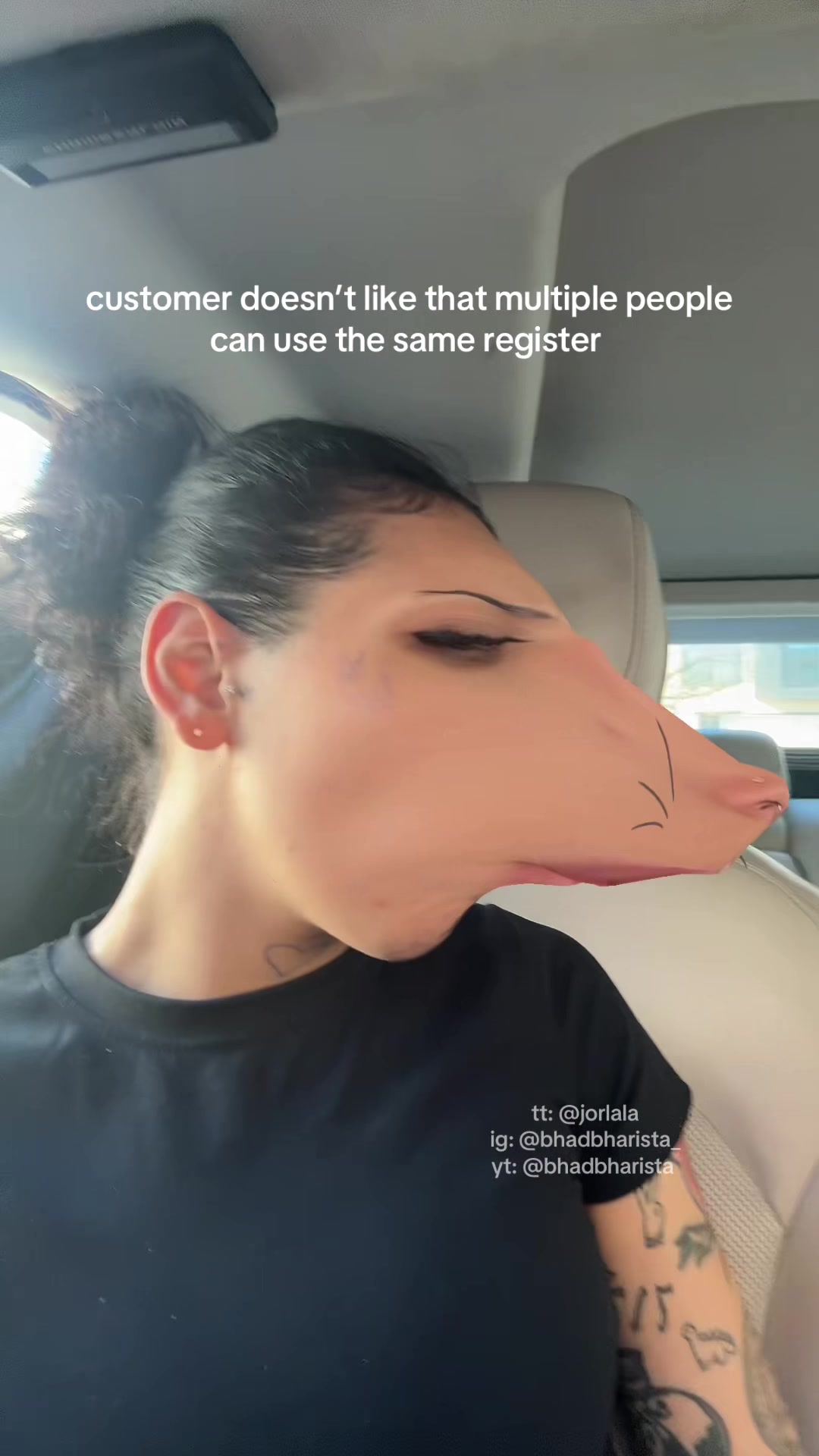 @bhadbharista