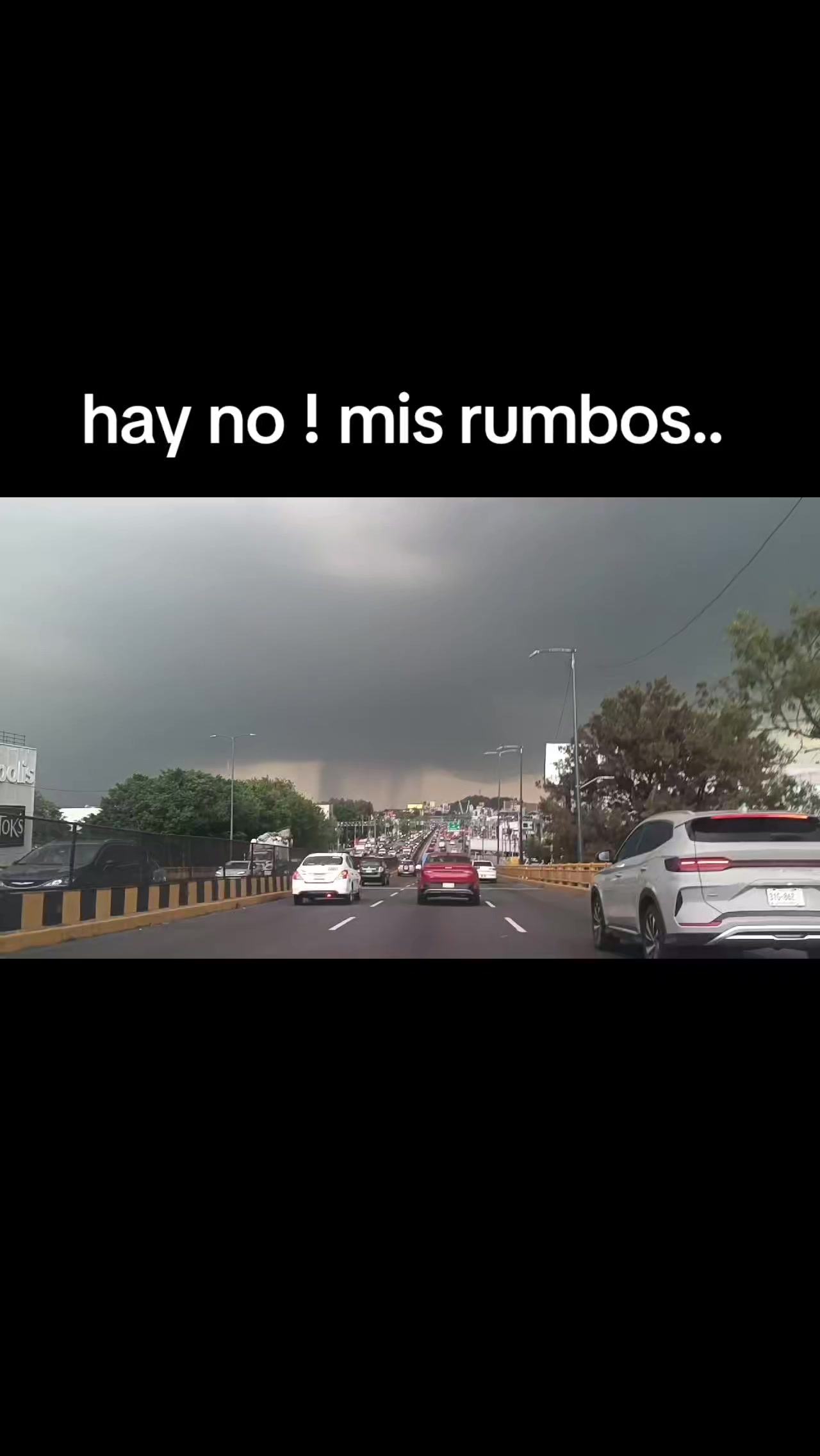 @Stephany Gomez