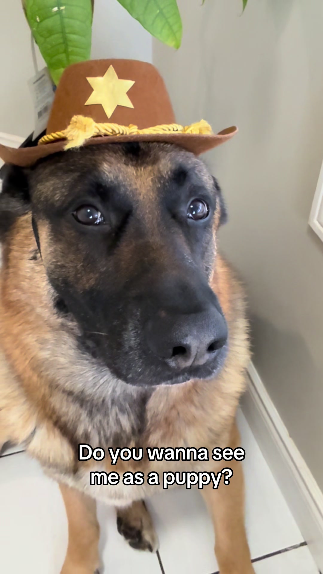 @Martygsd