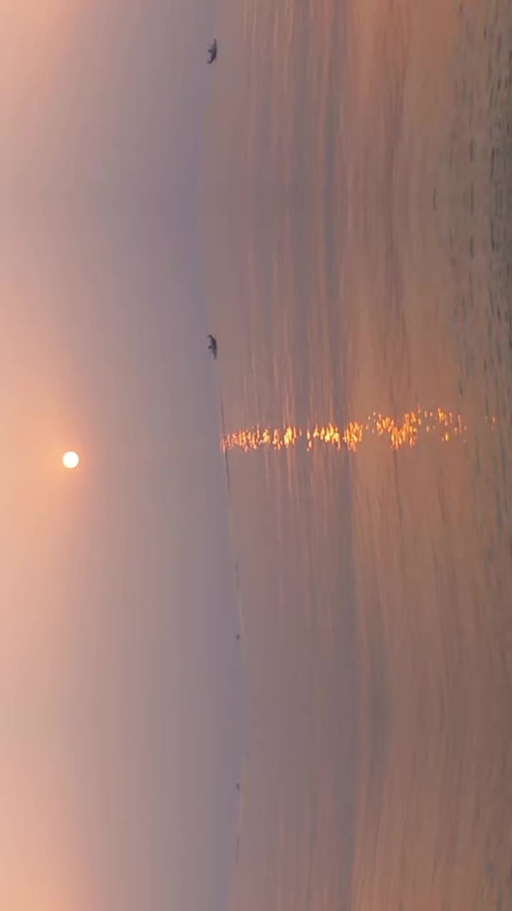 @liviaruff797