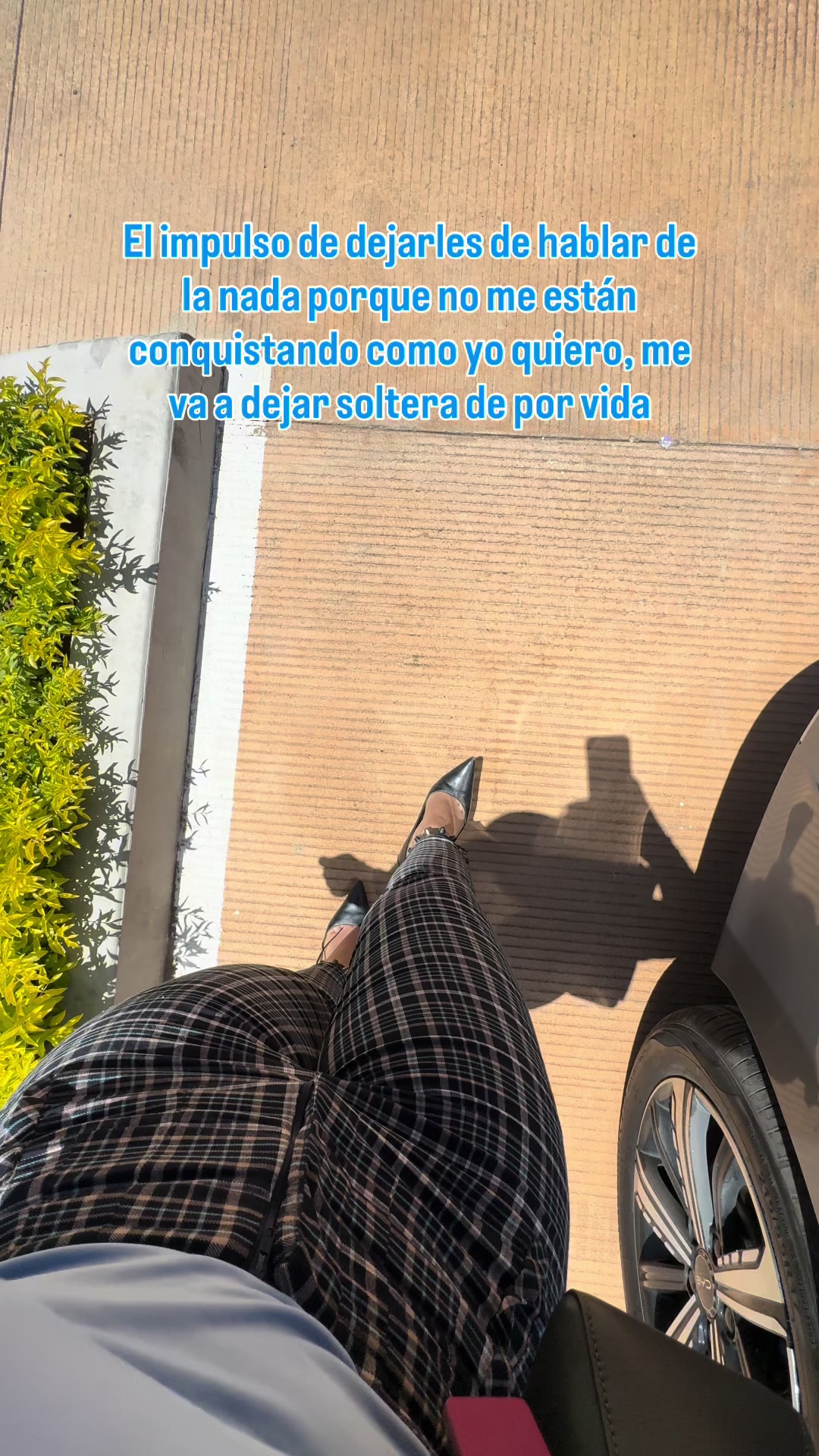@Michelle Diaz B