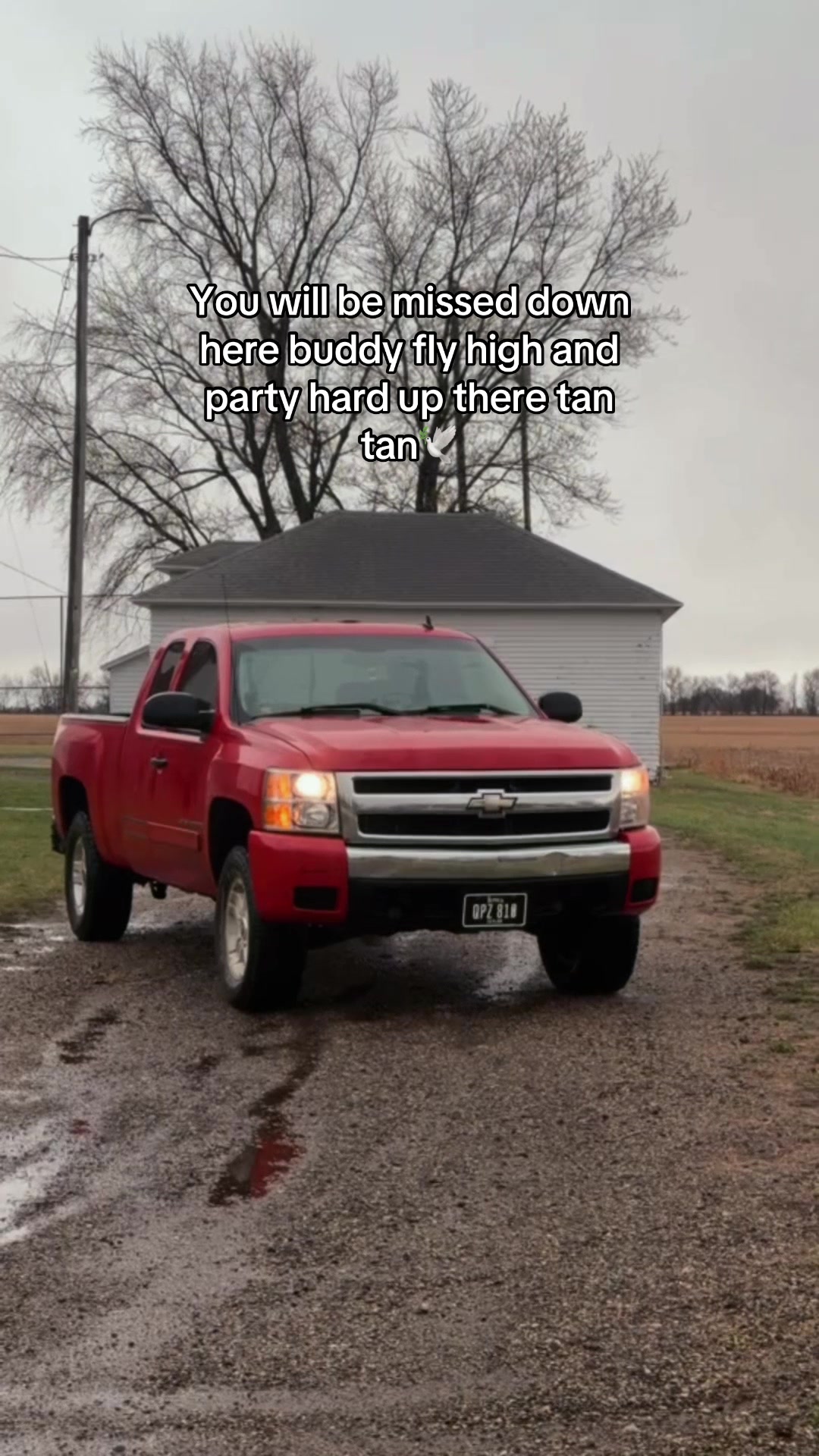 @cherry_5.3