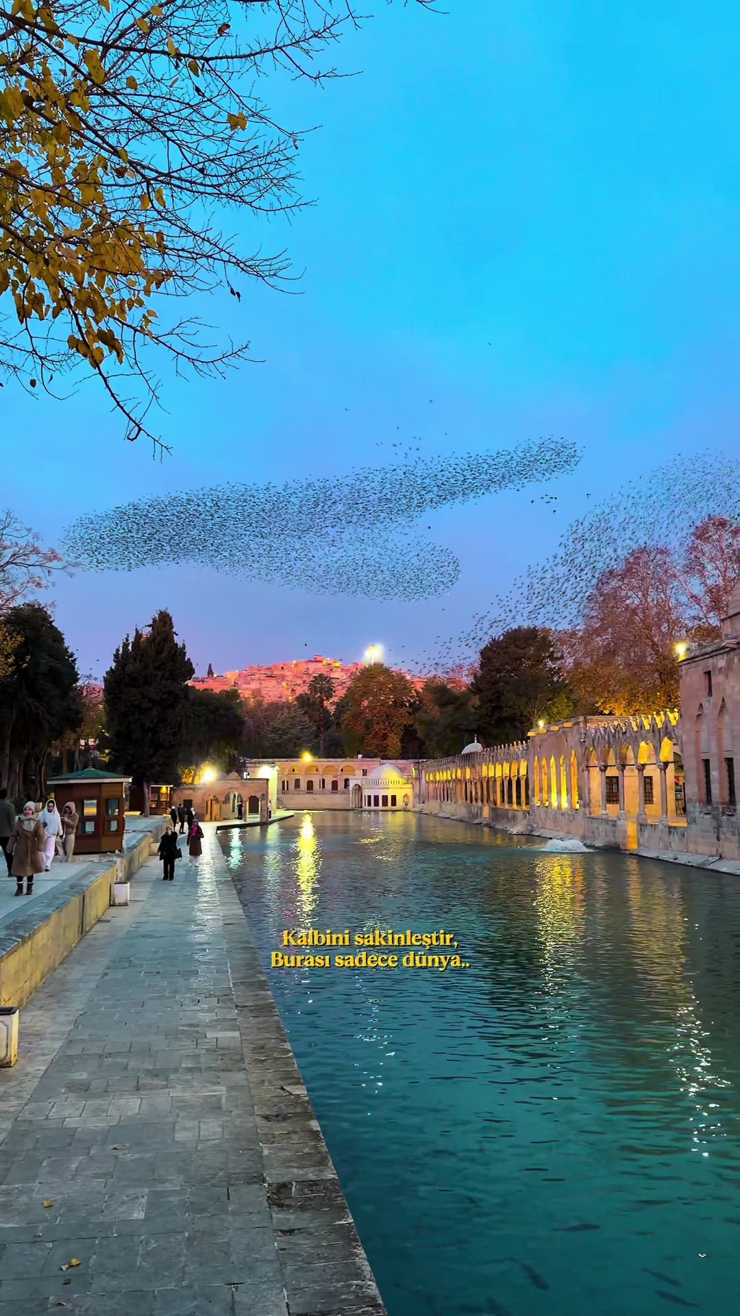 @MehmetDOGAN