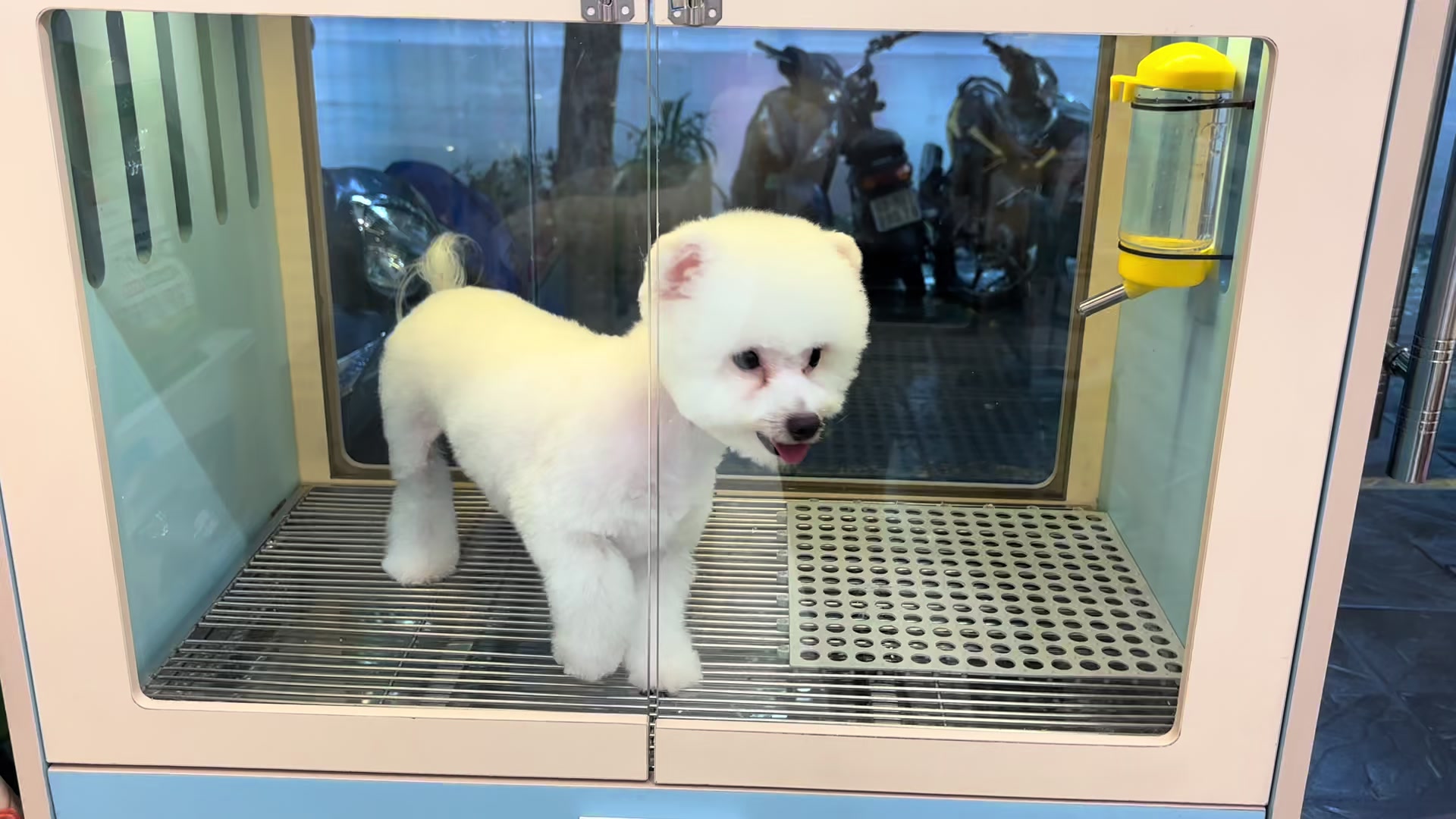@PetHouse - Thế giới Pet