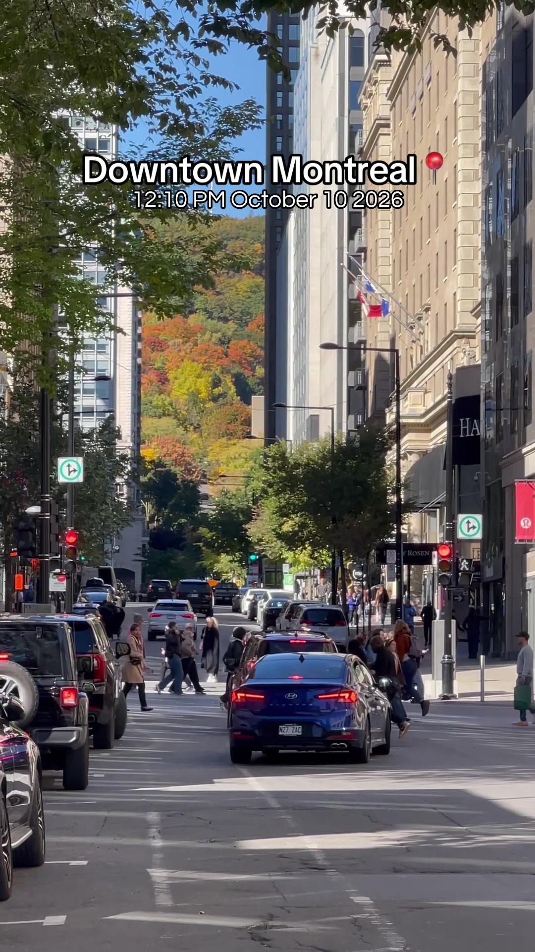 @MTL Images
