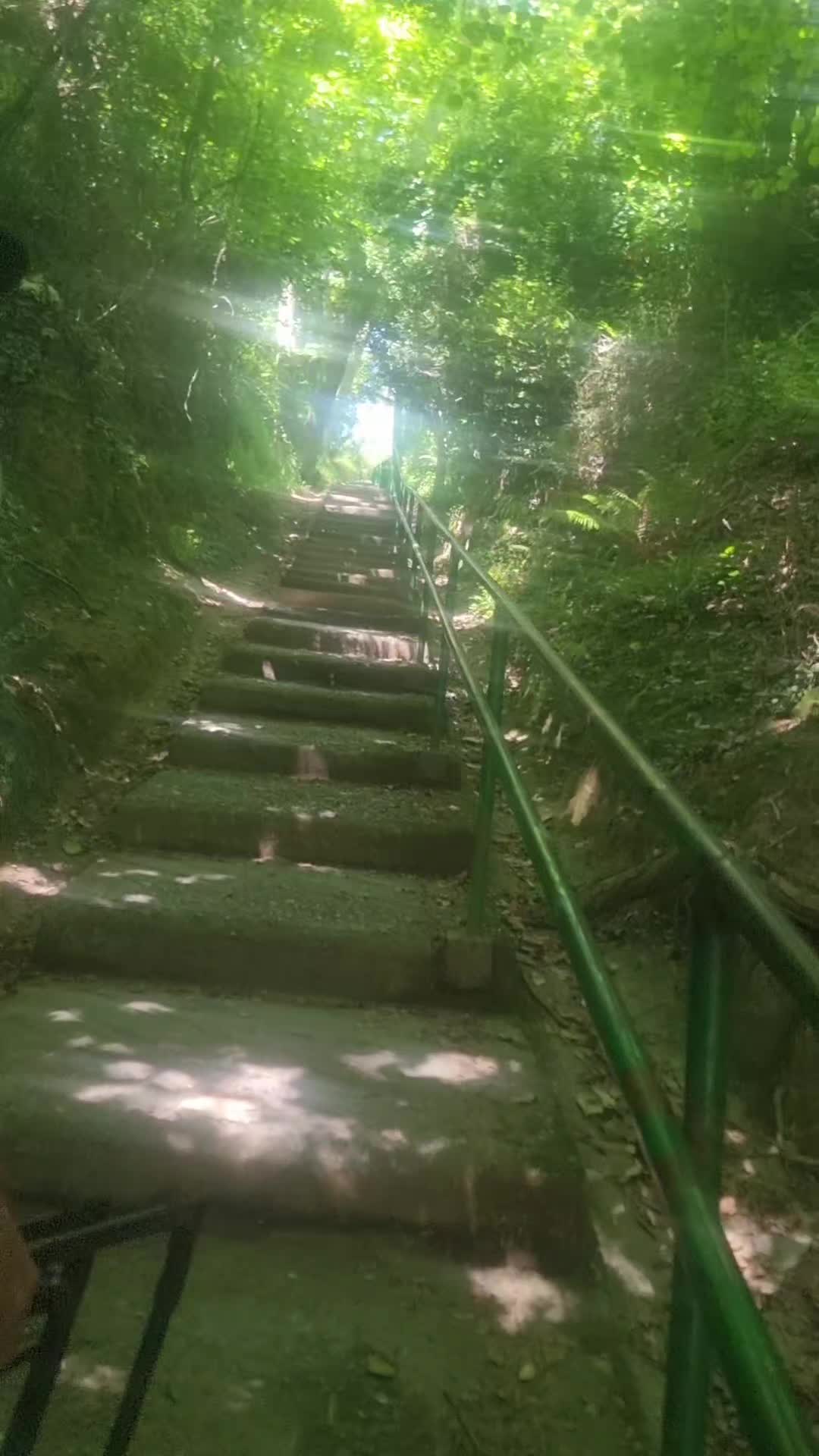 @Zagalo007