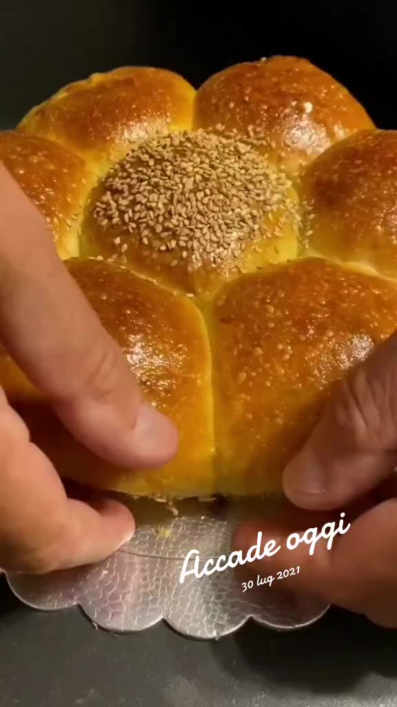 @Gino Di Francesco