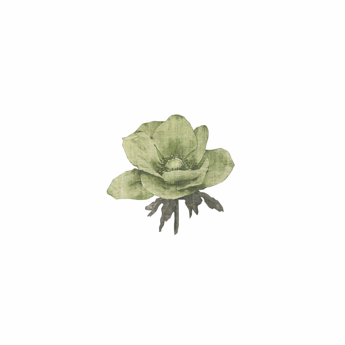 @ˏˋ°•*⁀➷