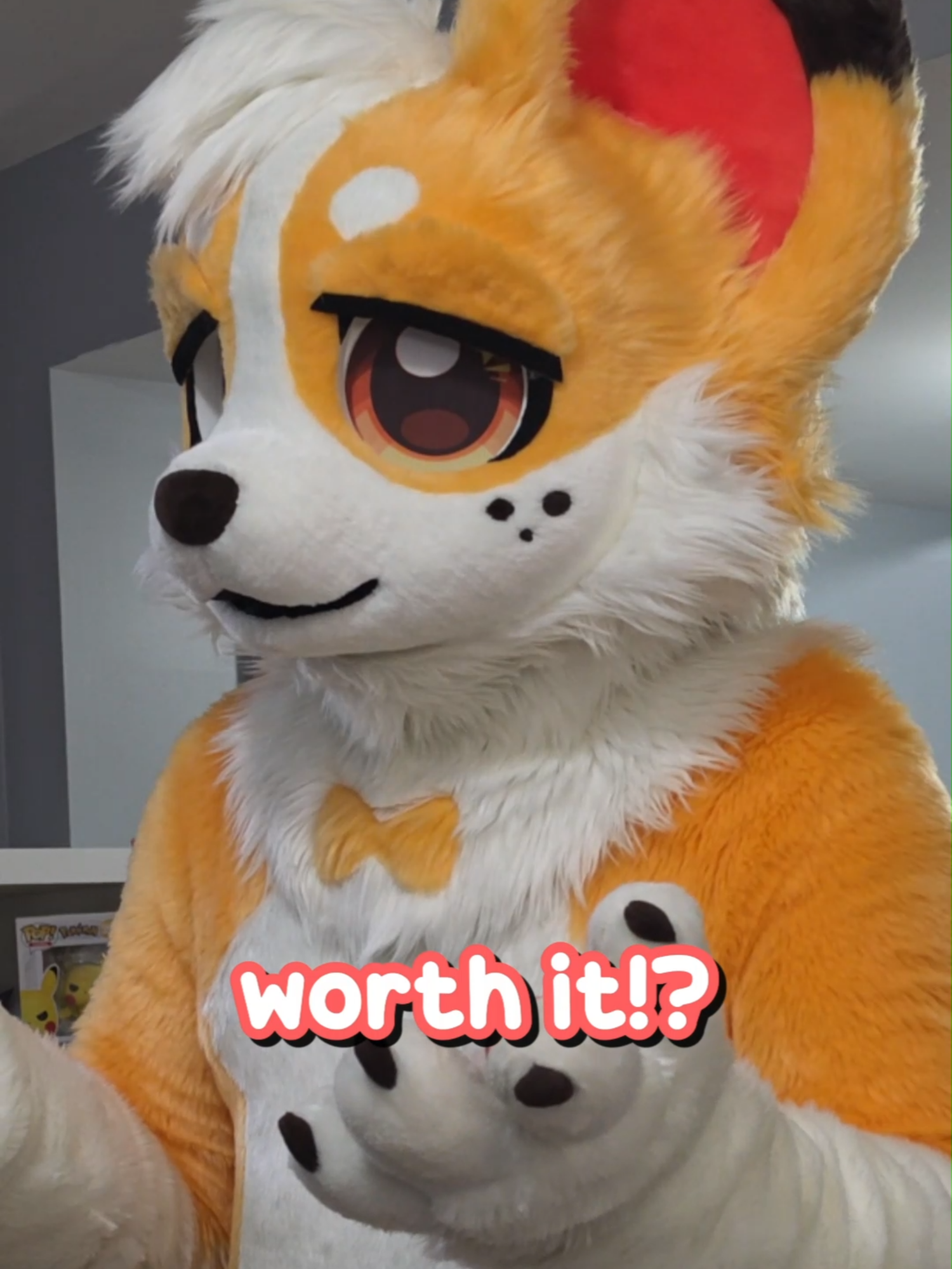 @Corgi