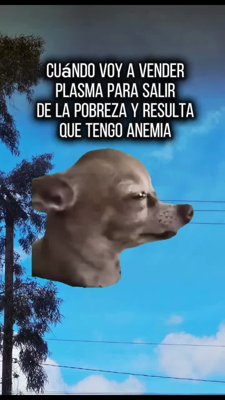 @Isaa