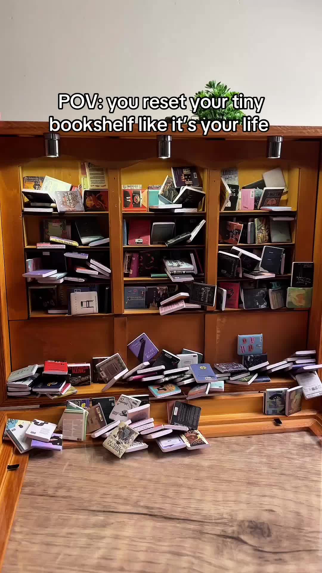 @shelftherapy