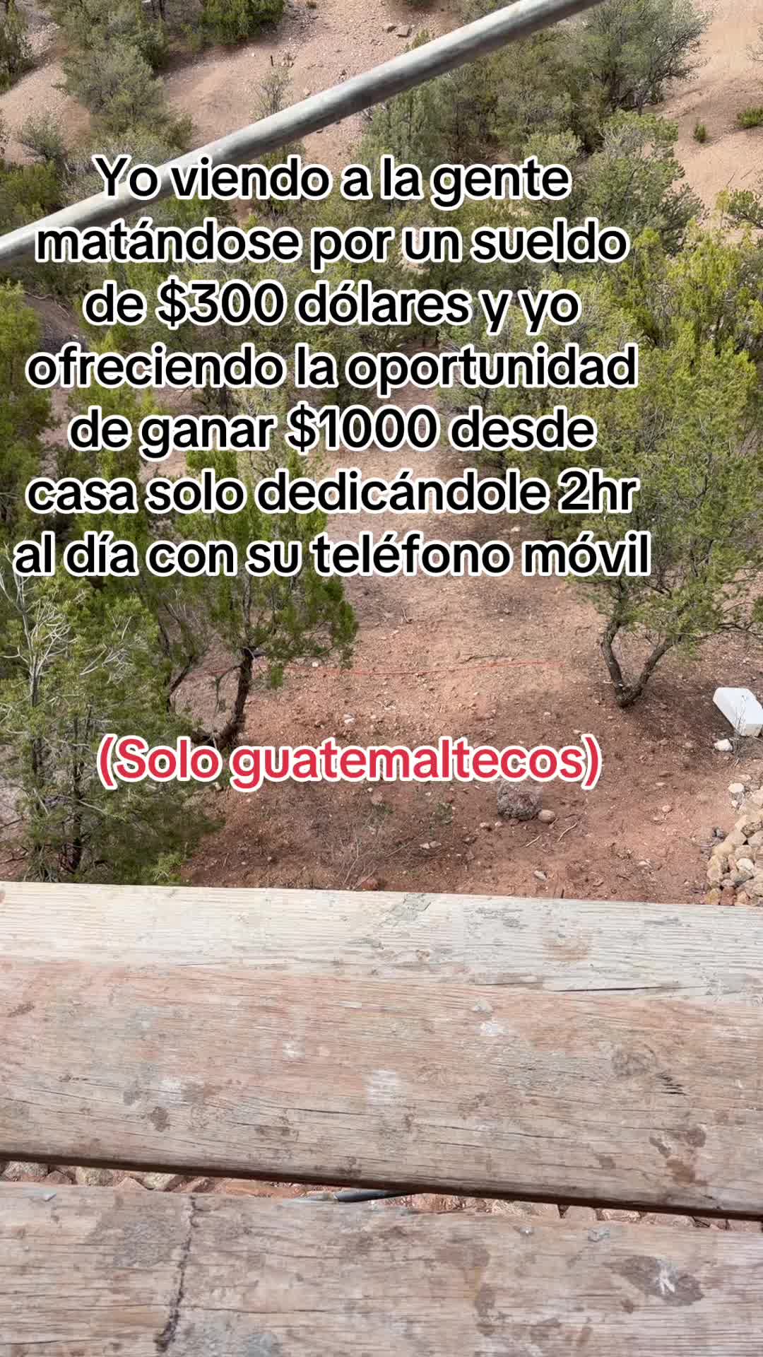 @luis pacheco