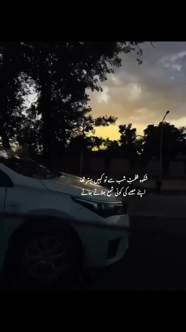 @ZH🎀🖇️