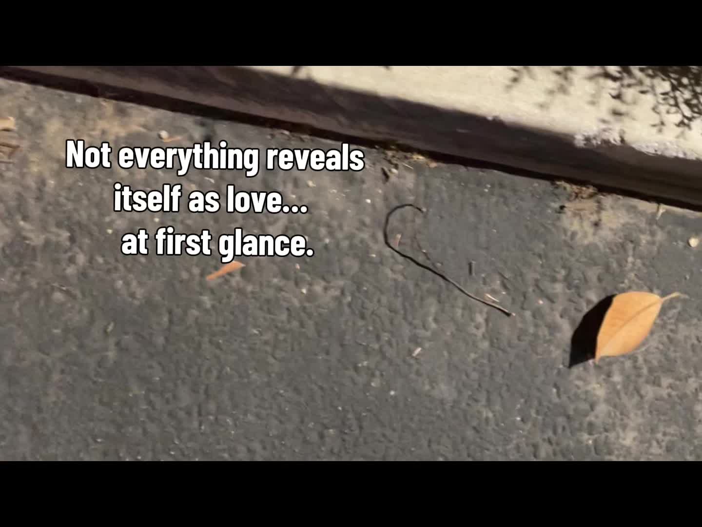 @Altered Grace