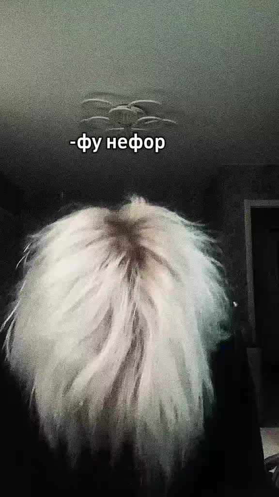 @zxcursed
