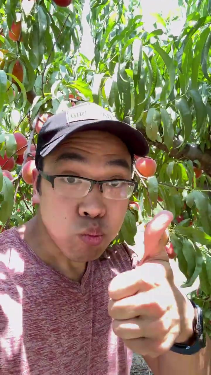 @Buff Gardener