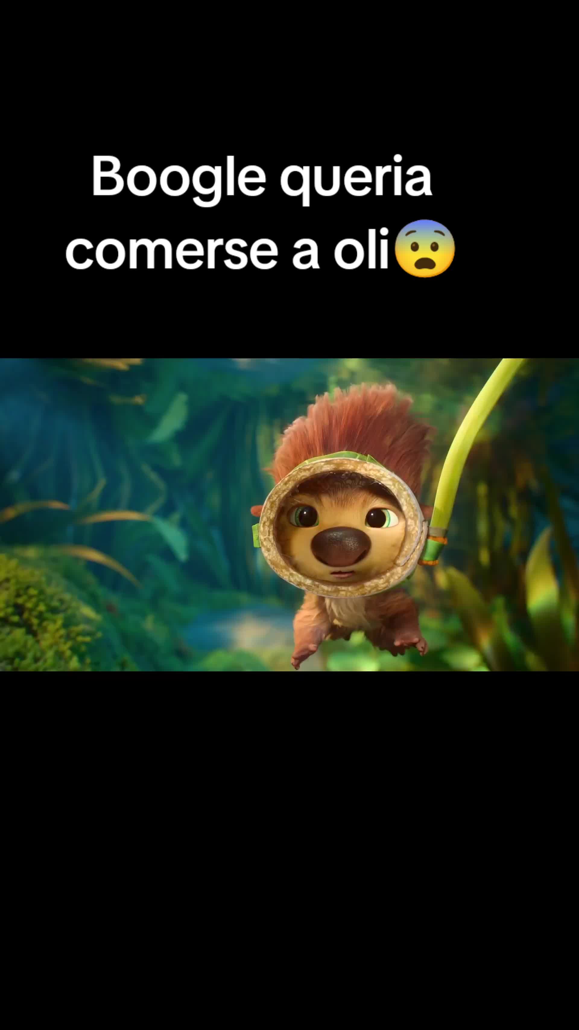 @Edit pro