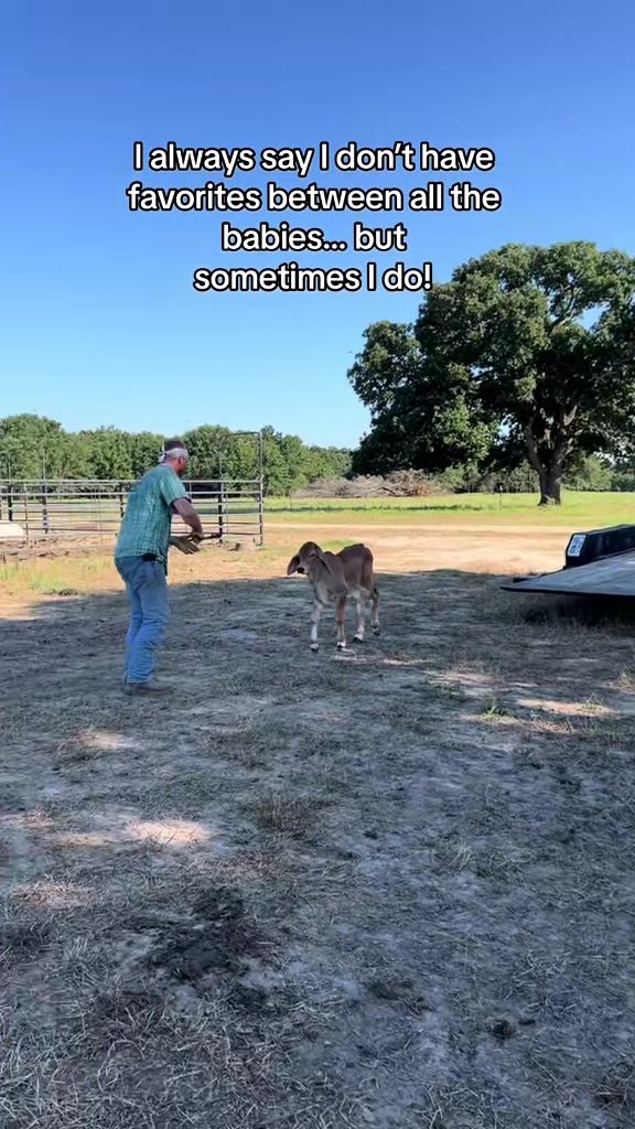 @The V6 Ranch