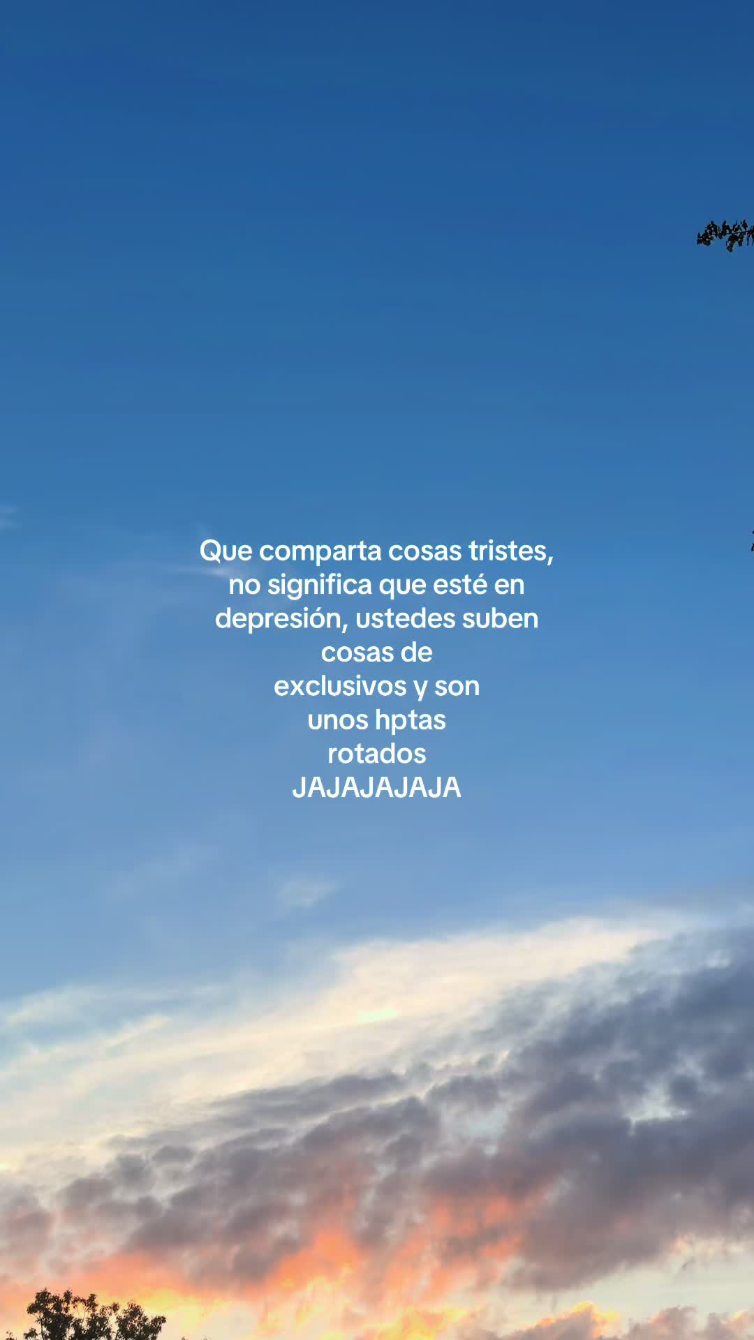 @“Voces del Eco”