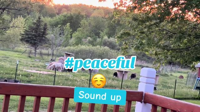 @afatbottomfarm