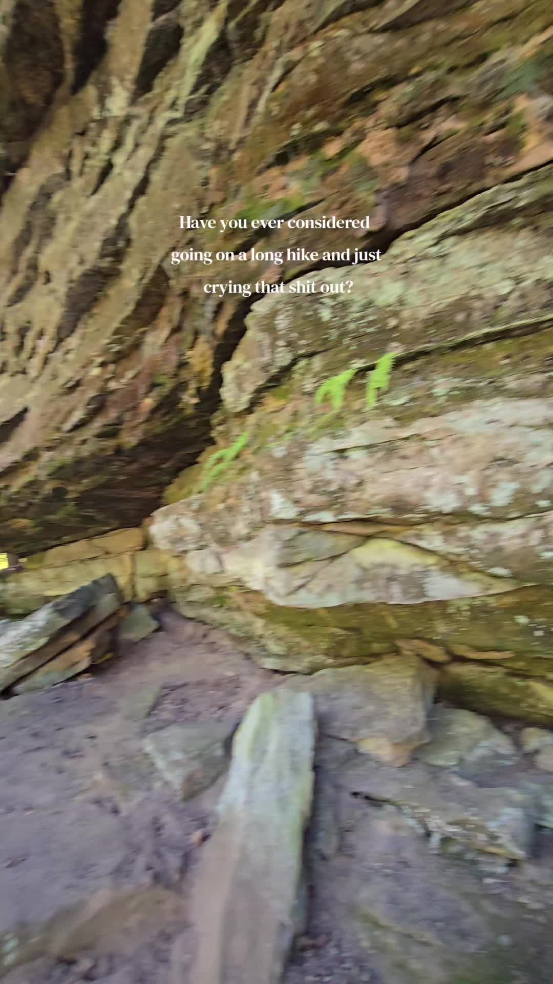 @amber83eternalroot