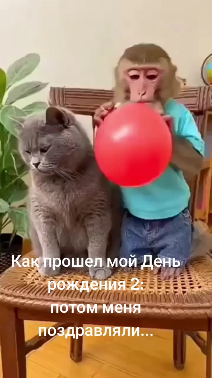 @_Allis_