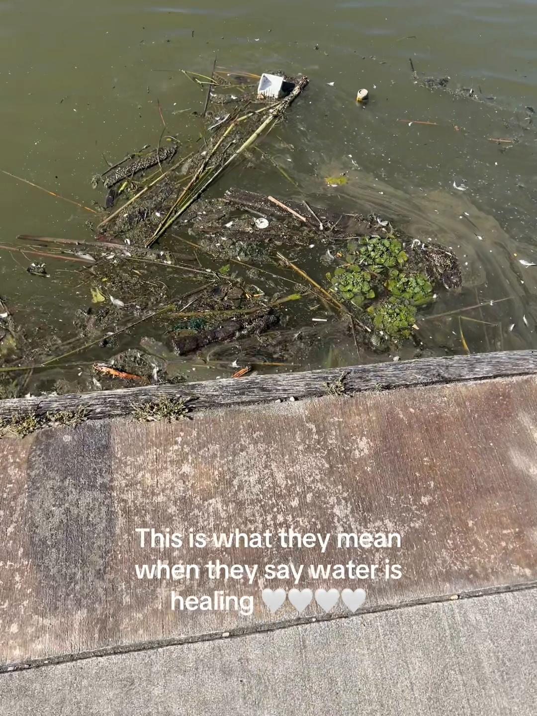 @nic🦖
