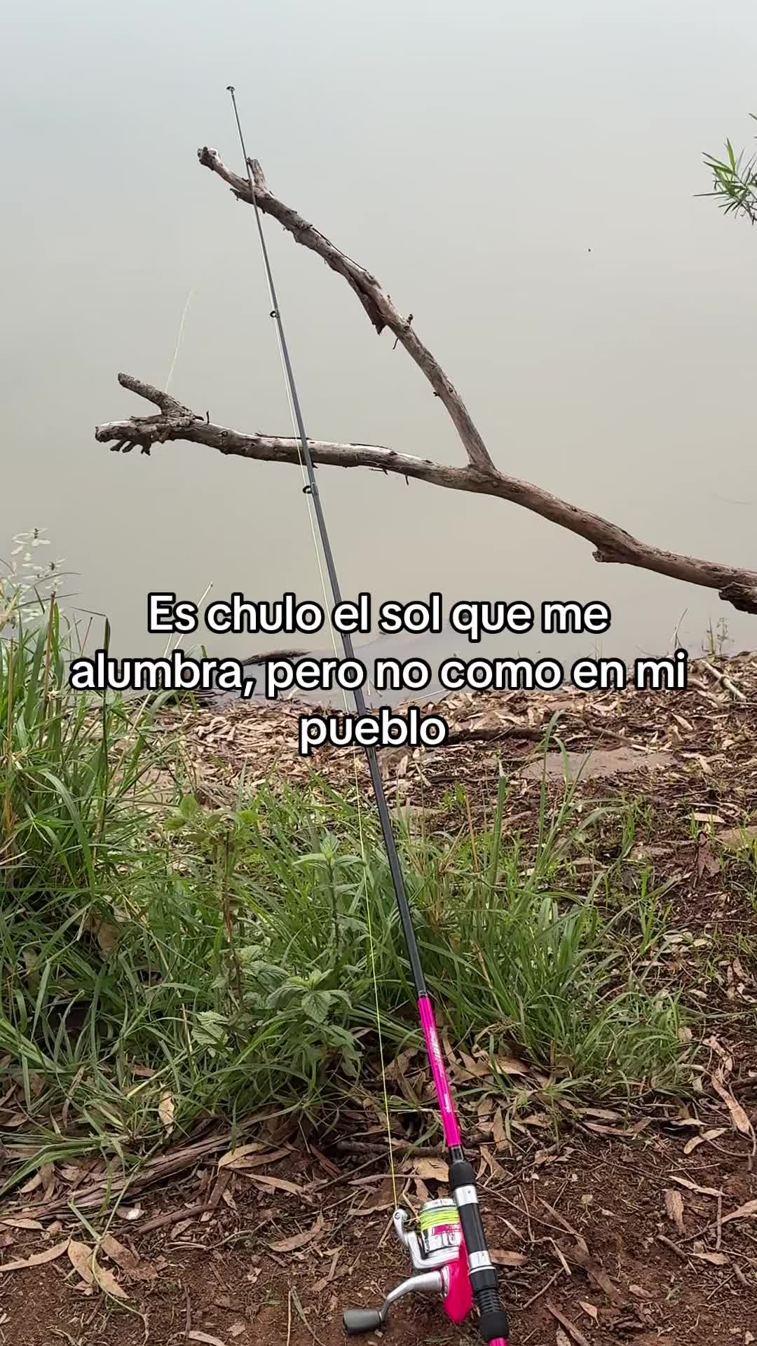 @Alma Padilla